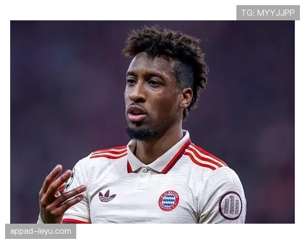 德甲转会市场再起波澜：新星加盟与老将告别引关注