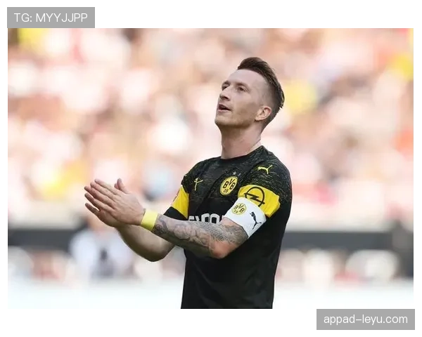 帕尔马进攻火力全开，新赛季状态火热引关注