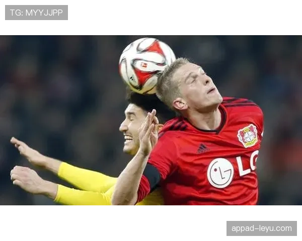 德甲药厂主场 德甲药厂主场